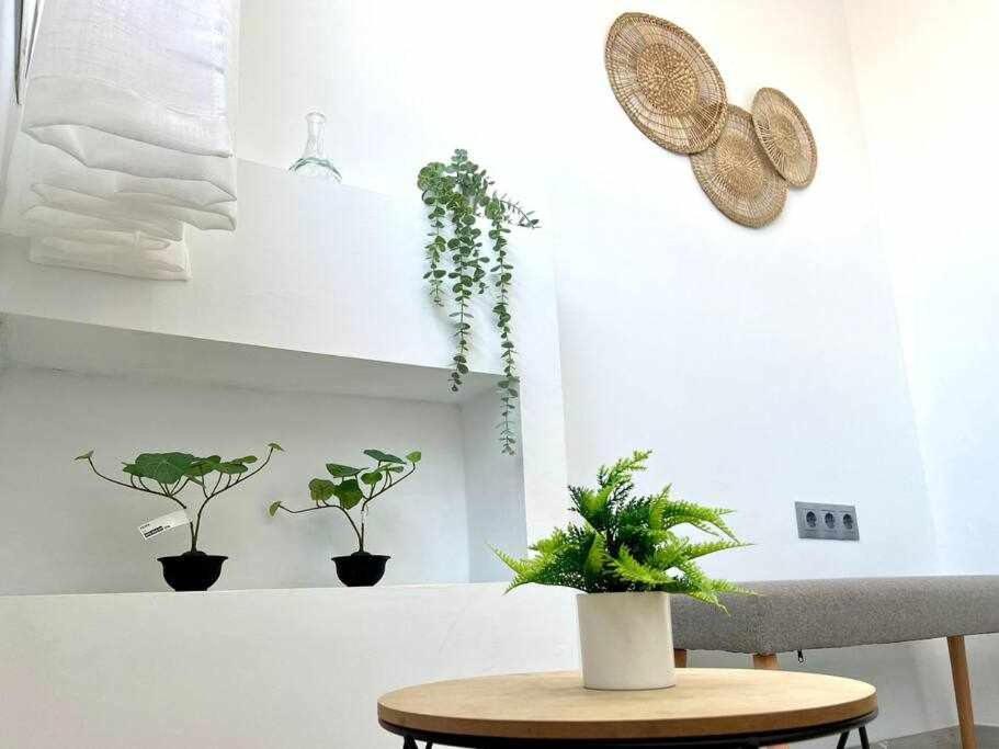 Apartamento Nuevo Centro Historico De Малага Екстериор снимка